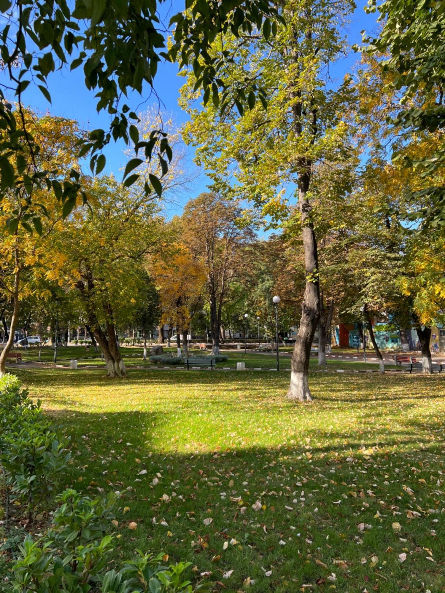 Green Park Apartments And Rooms For Guests Asenovgrad Eksteriør billede